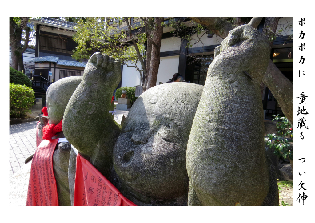 俳諧歳時記A206・・♪