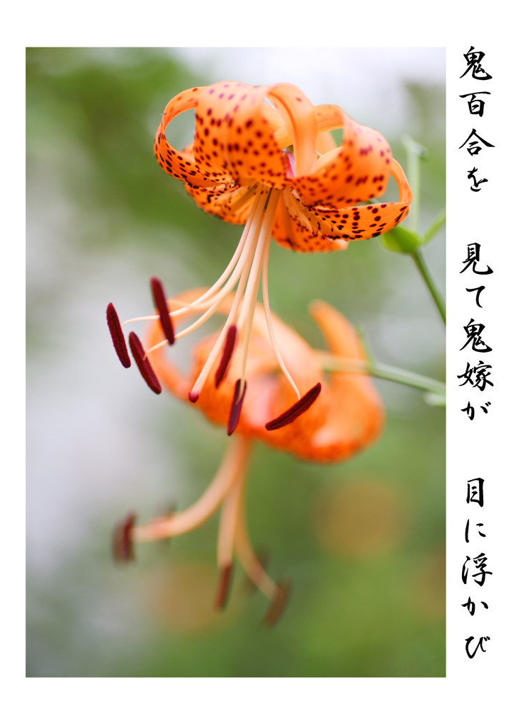 俳諧歳時記A048