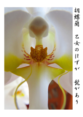 俳諧歳時記A099・・♪