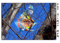 俳諧歳時記A672・・・♪