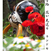 俳諧歳時記A213・・♪