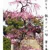 俳諧歳時記A203・・♪