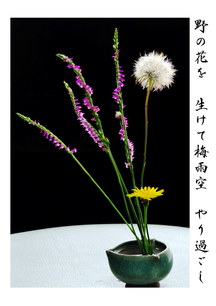 俳諧歳時記A051