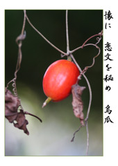 俳諧歳時記A559・・・♪