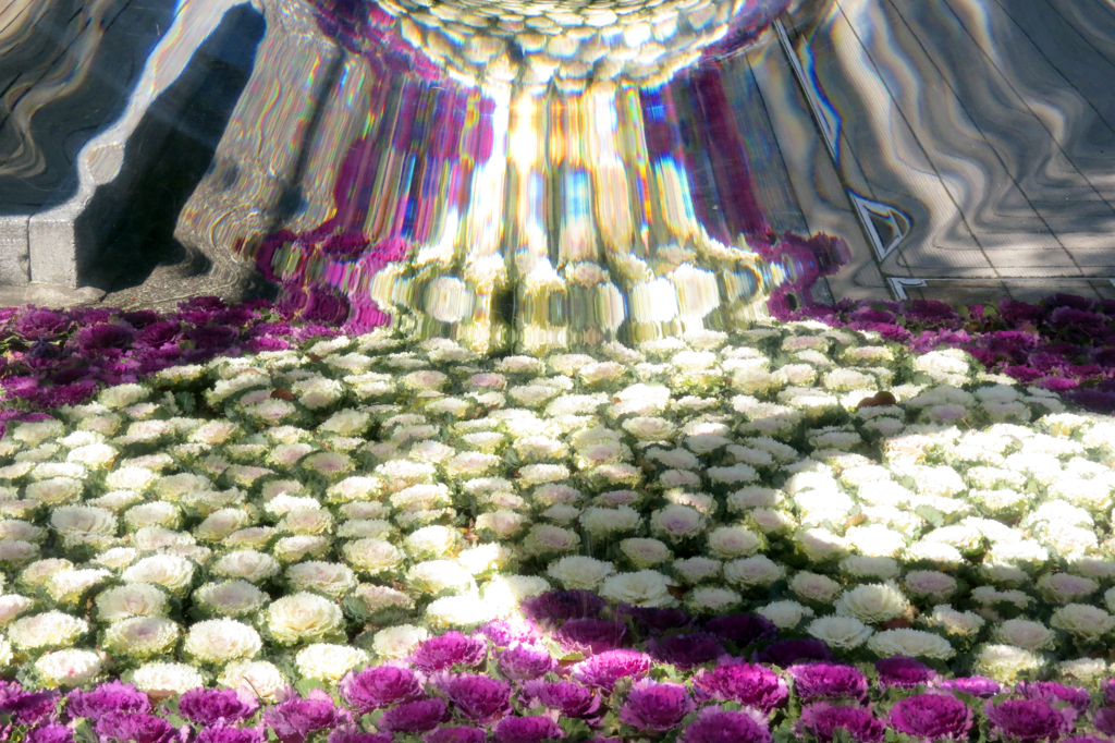 お花の滝・・♪