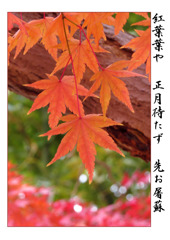 俳諧歳時記A667・・・♪