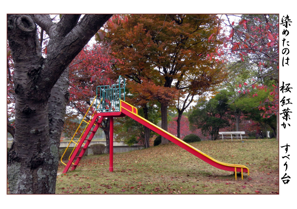 俳諧歳時記A657・・・♪