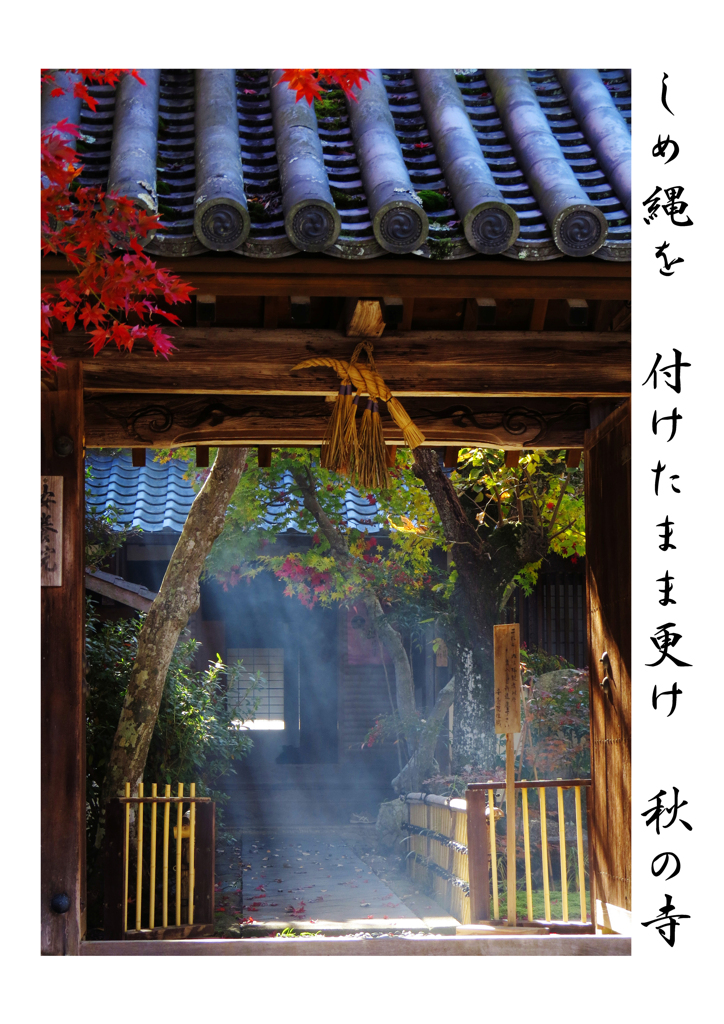 俳諧歳時記A254・・・♪