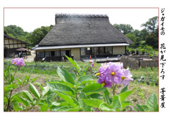 俳諧歳時記A614・・・♪