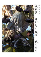 俳諧歳時記A124・・♪