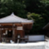 須磨寺境内　本堂前光景