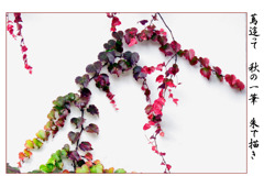 俳諧歳時記A660・・・♪