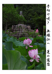 俳諧歳時記A627・・・♪