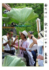 俳諧歳時記A624・・・♪