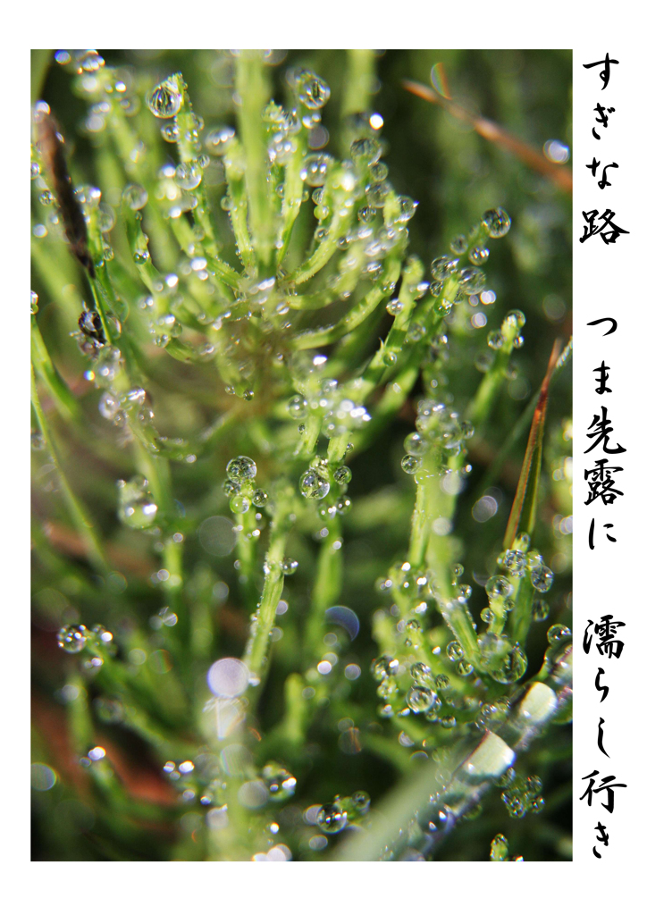 俳諧歳時記A296・・・♪