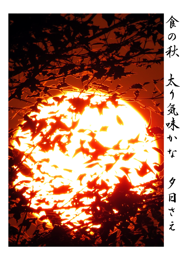 俳諧歳時記525・・♪