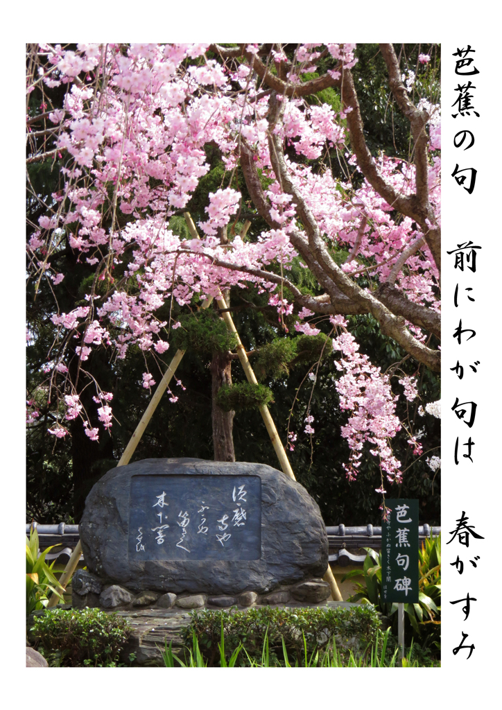 俳諧歳時記A089