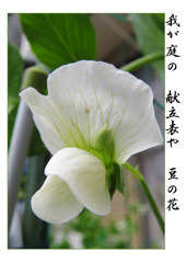 俳諧歳時記A595・・・♪