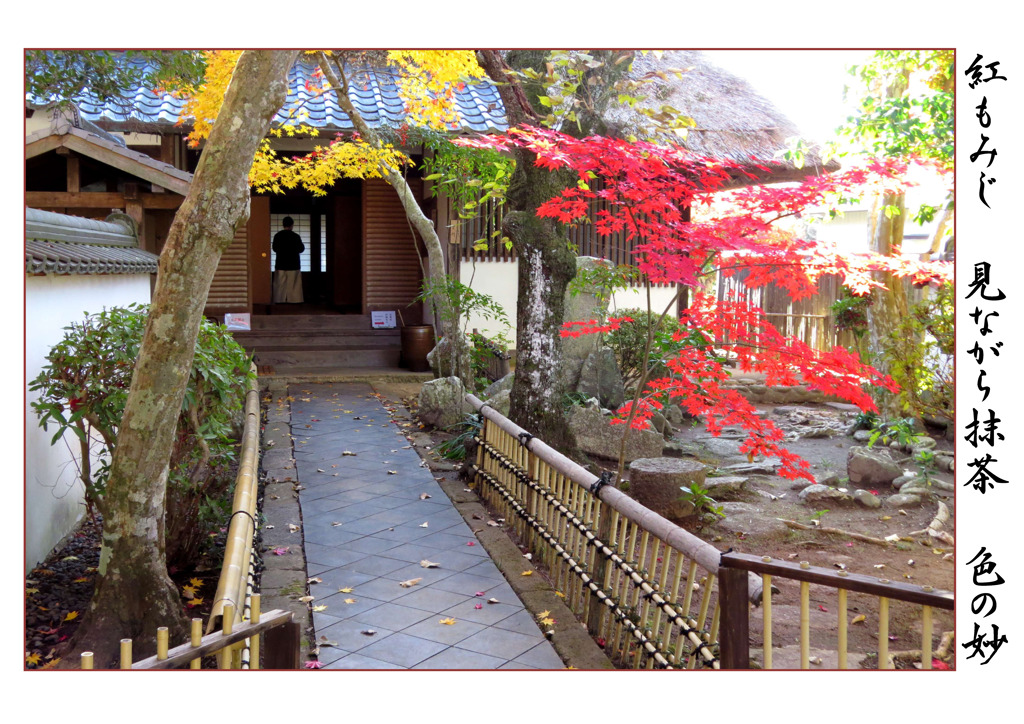 新春歌会始：俳諧歳時記A668・・・♪