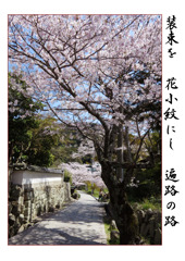 俳諧歳時記A606・・・♪