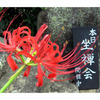 俳諧歳時記A415・・・♪