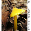 交通安全・・♪