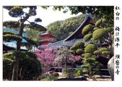 俳諧歳時記A589・・・♪