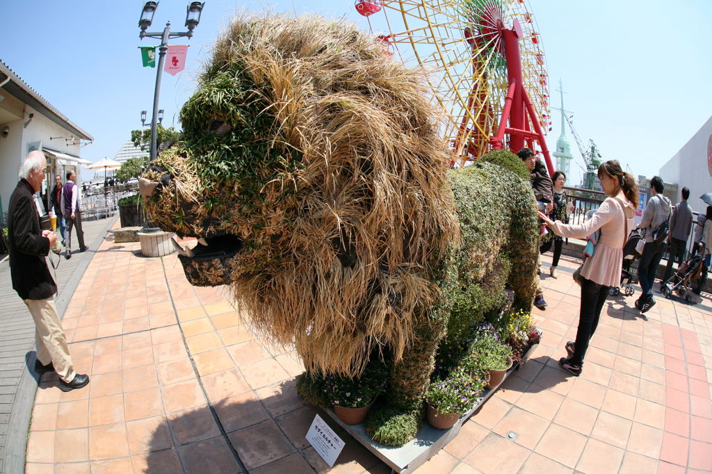 ライオンって草食動物・・？