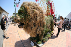 ライオンって草食動物・・？