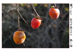 俳諧歳時記A648・・・♪ 俳諧歳時記A648・・・♪