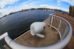 海から神戸の街を望む・・♪
