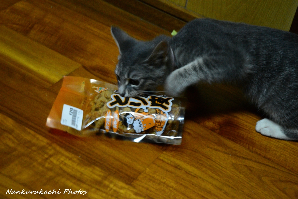愛猫と晩酌のおつまみ