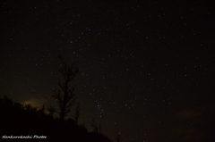 ペルセウス座流星群ですが・・・１