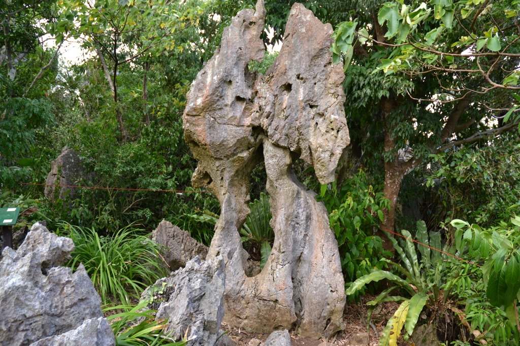 大石林山　５