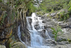 アガサの滝2