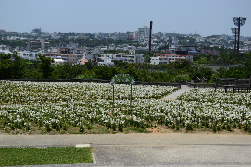 沖縄市総合運動公園