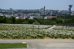 沖縄市総合運動公園