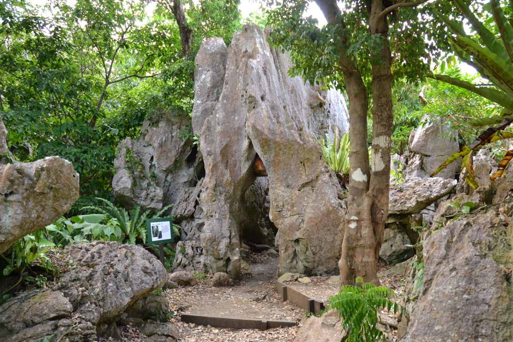 大石林山　６