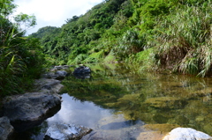 沖縄やんばるの川