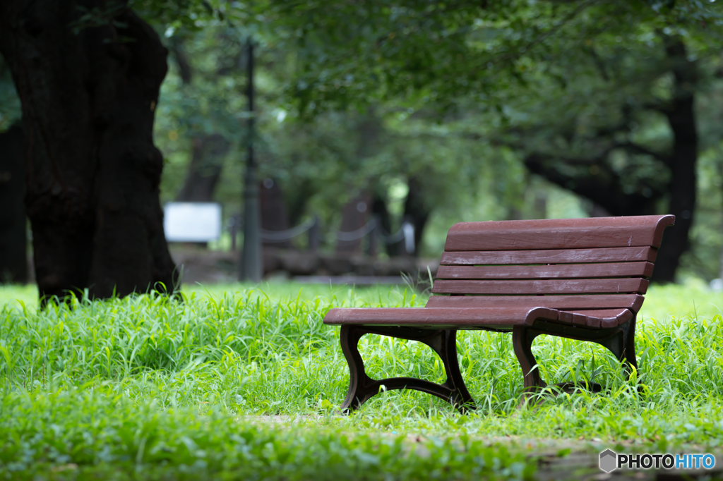 公園のベンチ