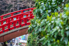 渡った先には