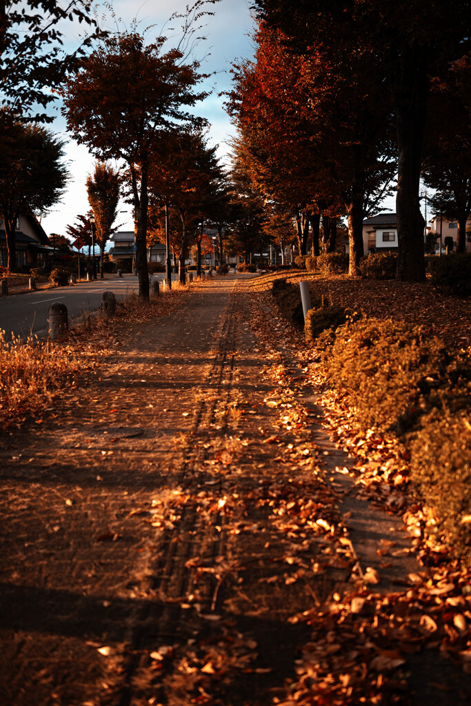 秋の帰り道