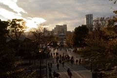 上野公園お散歩