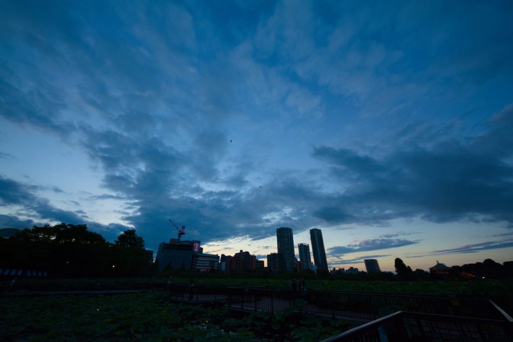 闇夜がひっそりと
