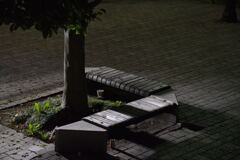 bench