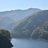 東山　秋到来