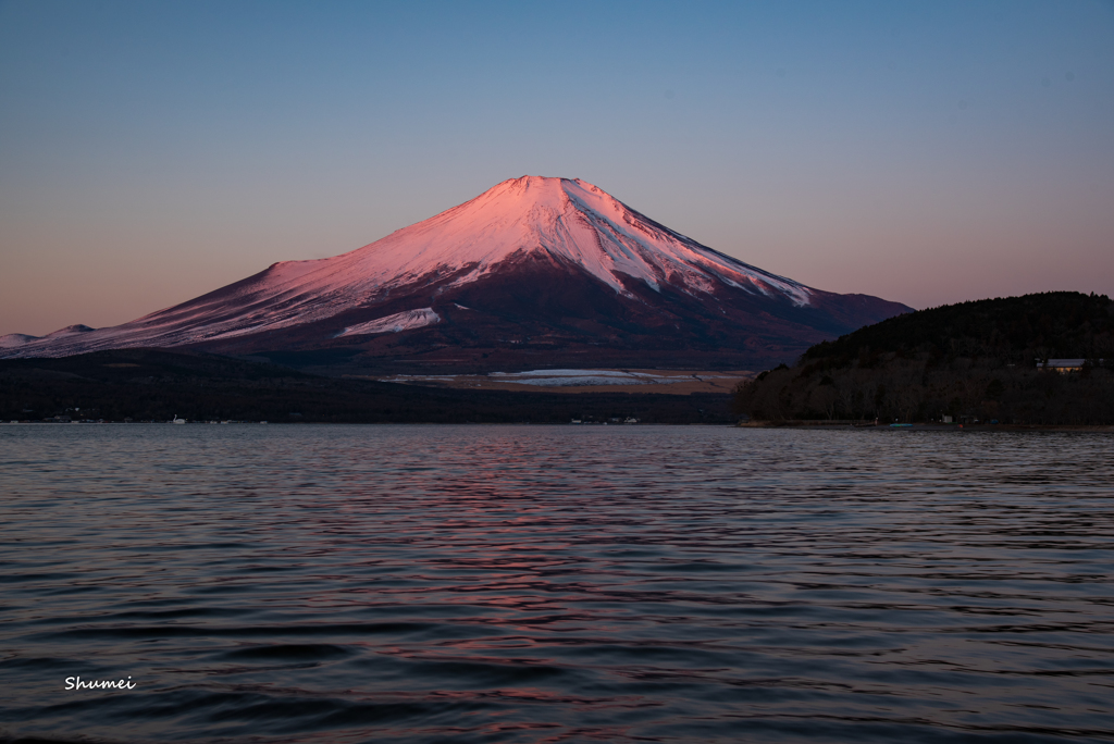 ほんのり紅富士