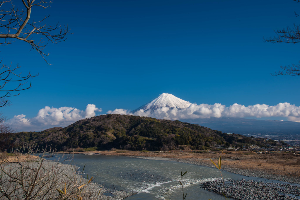 富士川と富士山