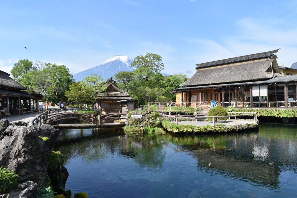 忍野八海　湧池