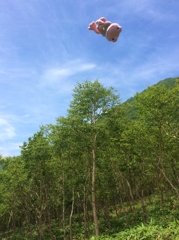 カエルもよろこぶ青空！？